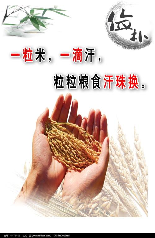 购买假的丰田机动车整车出厂合格证